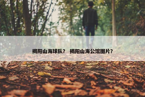 揭阳山海球队？ 揭阳山海公馆图片？