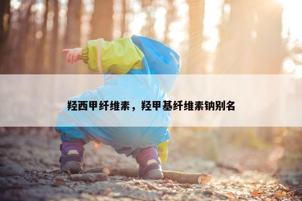 羟西甲纤维素，羟甲基纤维素钠别名