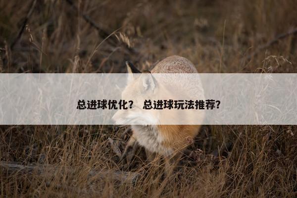 总进球优化？ 总进球玩法推荐？