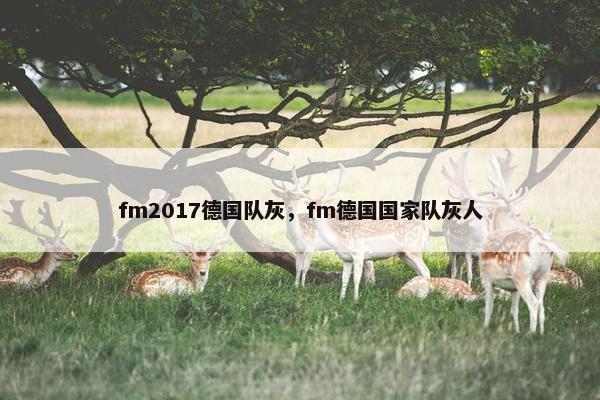 fm2017德国队灰，fm德国国家队灰人
