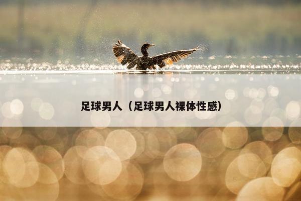 足球男人（足球男人裸体性感）