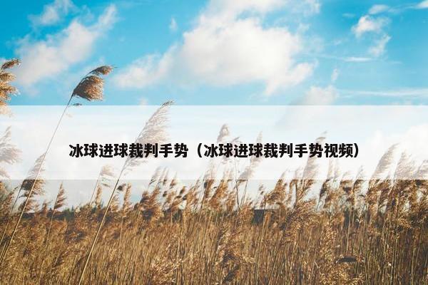 冰球进球裁判手势（冰球进球裁判手势视频）