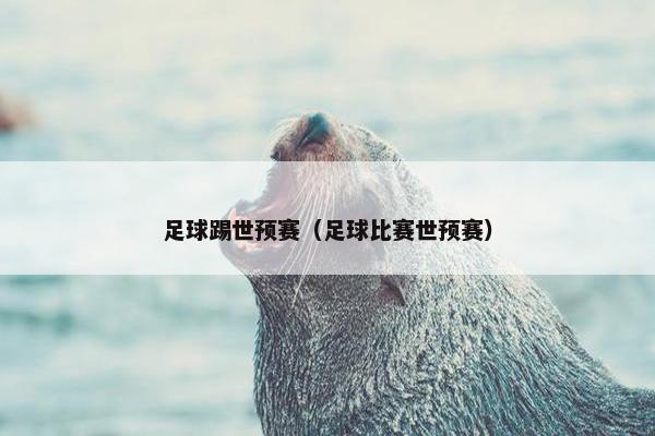 足球踢世预赛（足球比赛世预赛）