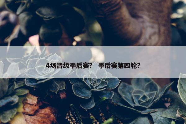 4场晋级季后赛？ 季后赛第四轮？