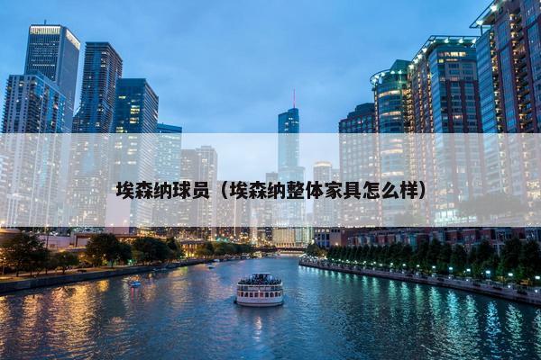 埃森纳球员（埃森纳整体家具怎么样）