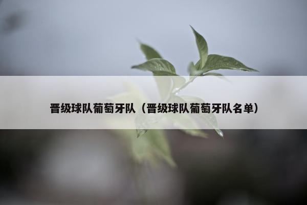 晋级球队葡萄牙队（晋级球队葡萄牙队名单）