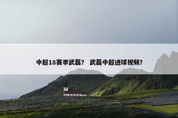 中超18赛季武磊？ 武磊中超进球视频？