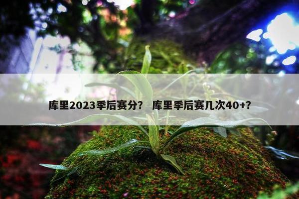 库里2023季后赛分？ 库里季后赛几次40+？