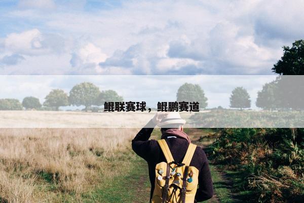 鲲联赛球，鲲鹏赛道