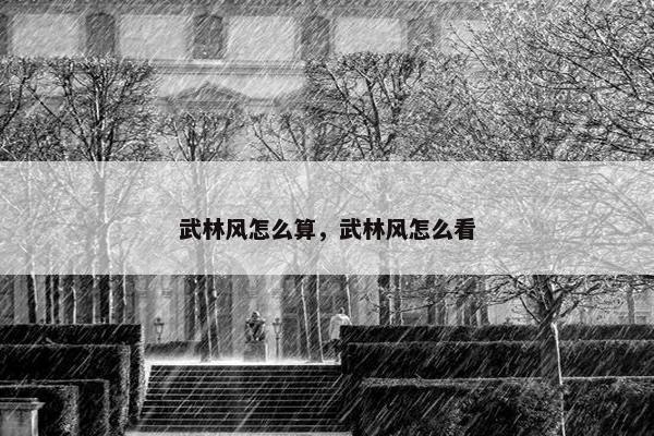 武林风怎么算，武林风怎么看