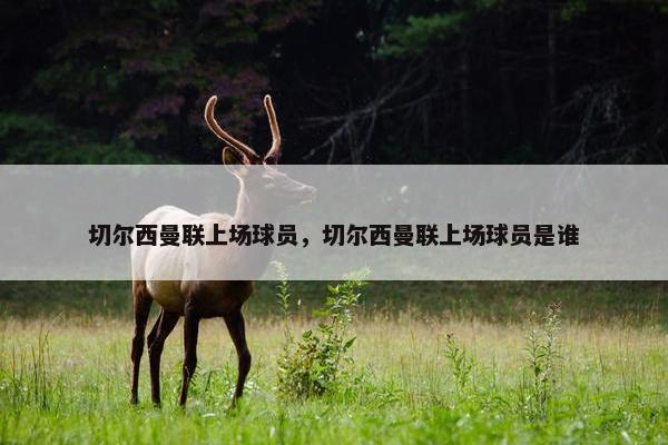 切尔西曼联上场球员，切尔西曼联上场球员是谁