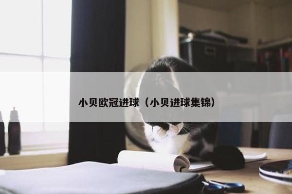 小贝欧冠进球（小贝进球集锦）
