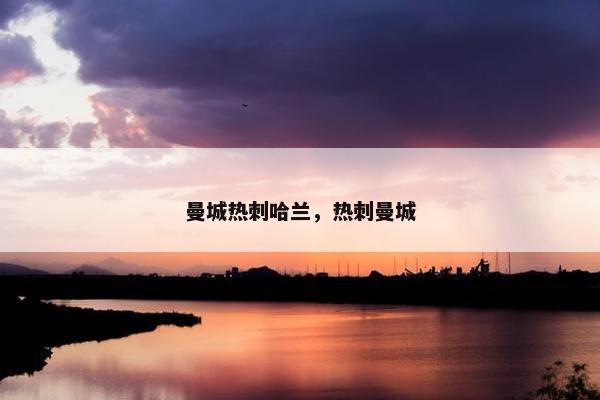 曼城热刺哈兰，热刺曼城