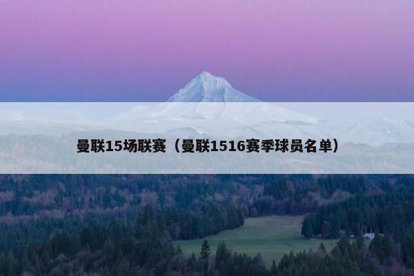 曼联15场联赛（曼联1516赛季球员名单）