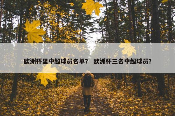 欧洲杯里中超球员名单？ 欧洲杯三名中超球员？