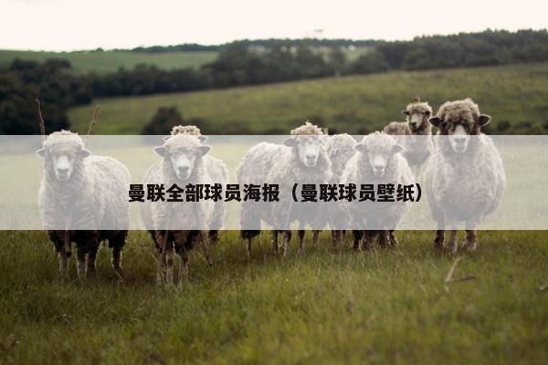 曼联全部球员海报（曼联球员壁纸）