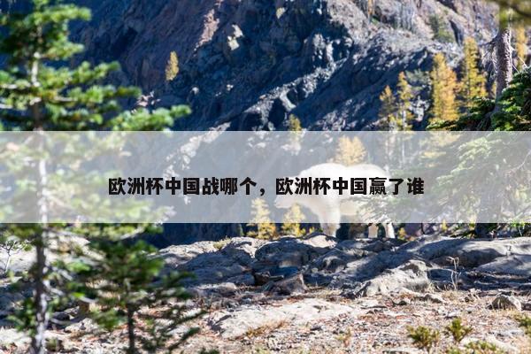 欧洲杯中国战哪个，欧洲杯中国赢了谁