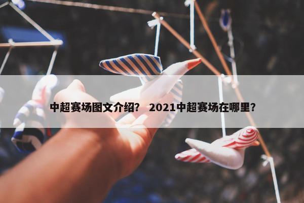 中超赛场图文介绍？ 2021中超赛场在哪里？
