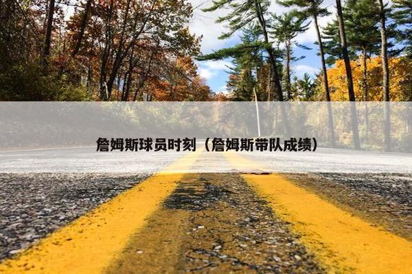 詹姆斯球员时刻（詹姆斯带队成绩）
