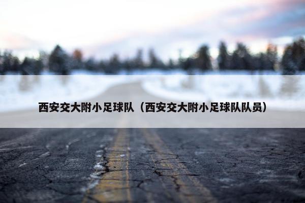 西安交大附小足球队（西安交大附小足球队队员）