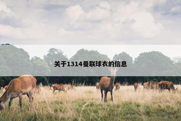 关于1314曼联球衣的信息