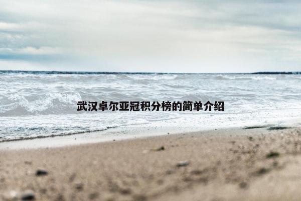 武汉卓尔亚冠积分榜的简单介绍
