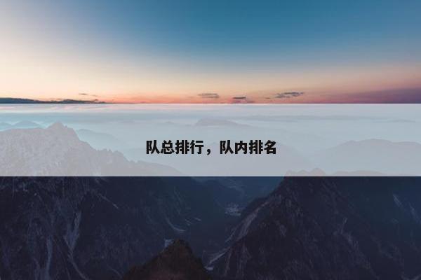 队总排行，队内排名