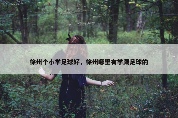 徐州个小学足球好，徐州哪里有学踢足球的