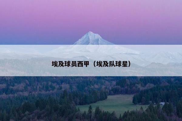 埃及球员西甲（埃及队球星）