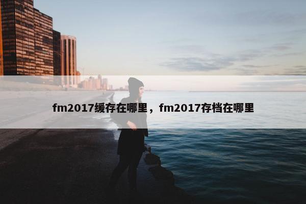 fm2017缓存在哪里，fm2017存档在哪里