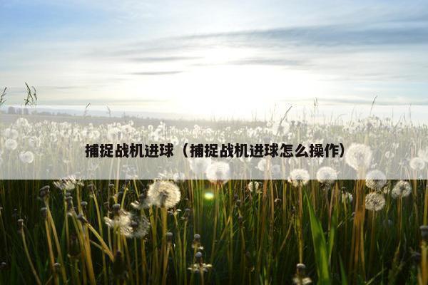捕捉战机进球（捕捉战机进球怎么操作）