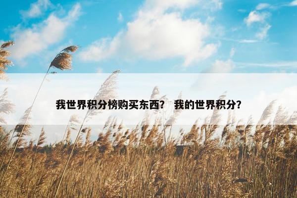我世界积分榜购买东西？ 我的世界积分？