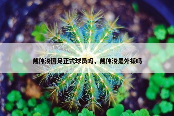 戴伟浚国足正式球员吗，戴伟浚是外援吗