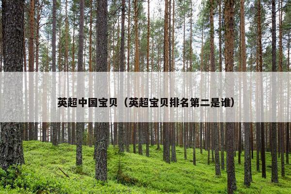 英超中国宝贝（英超宝贝排名第二是谁）