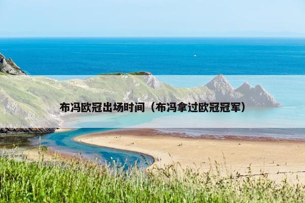 布冯欧冠出场时间（布冯拿过欧冠冠军）