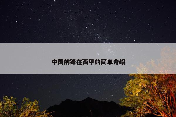 中国前锋在西甲的简单介绍