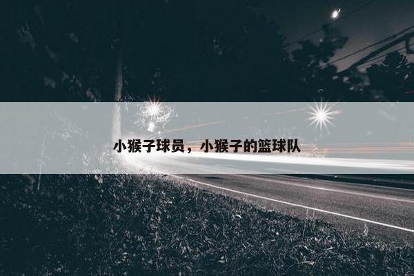 小猴子球员，小猴子的篮球队