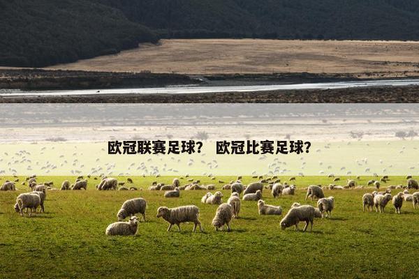 欧冠联赛足球？ 欧冠比赛足球？