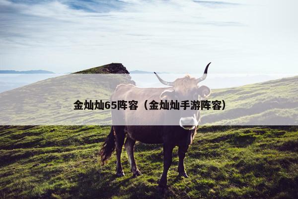 金灿灿65阵容（金灿灿手游阵容）