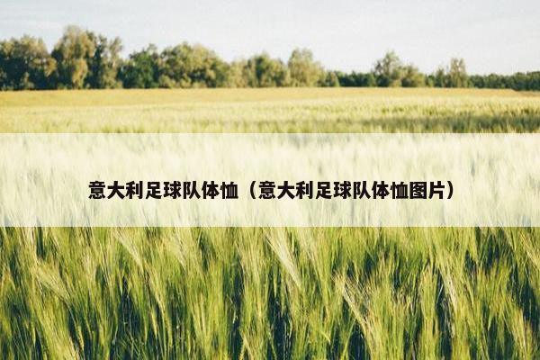 意大利足球队体恤（意大利足球队体恤图片）