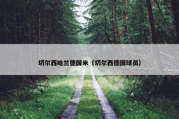 切尔西哈兰德国米（切尔西德国球员）