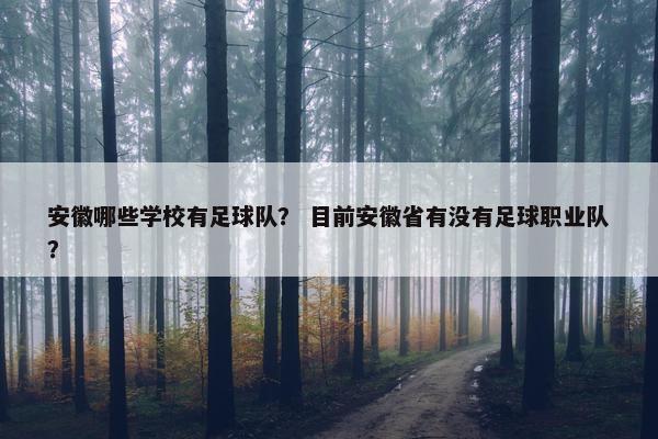 安徽哪些学校有足球队？ 目前安徽省有没有足球职业队？