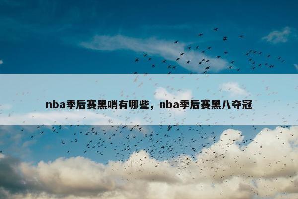nba季后赛黑哨有哪些，nba季后赛黑八夺冠