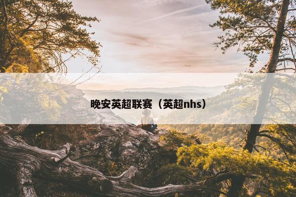 晚安英超联赛（英超nhs）