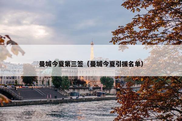 曼城今夏第三签（曼城今夏引援名单）