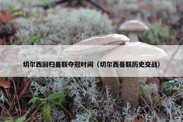 切尔西回归曼联夺冠时间（切尔西曼联历史交战）