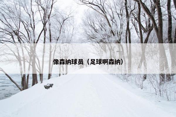 像森纳球员（足球啊森纳）