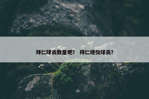 拜仁球员数量吧？ 拜仁现役球员？