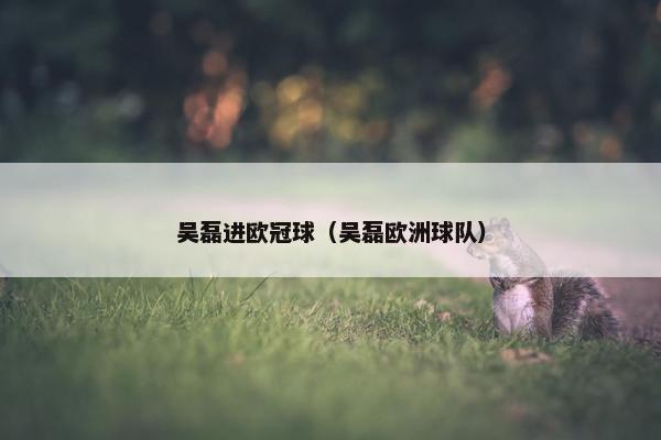 吴磊进欧冠球（吴磊欧洲球队）