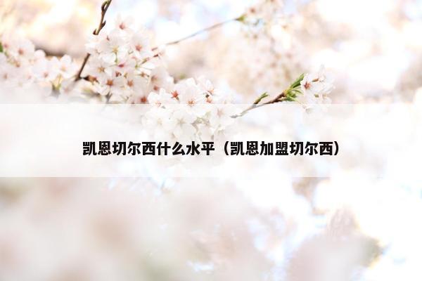 凯恩切尔西什么水平（凯恩加盟切尔西）